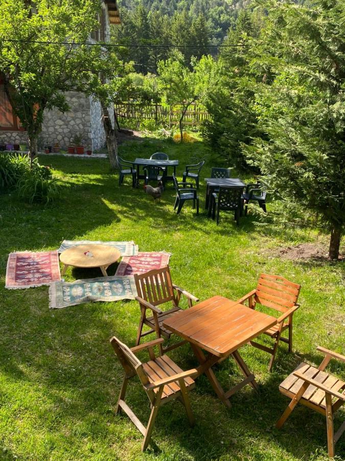 Guesthouse Demushi Valbone Zewnętrze zdjęcie