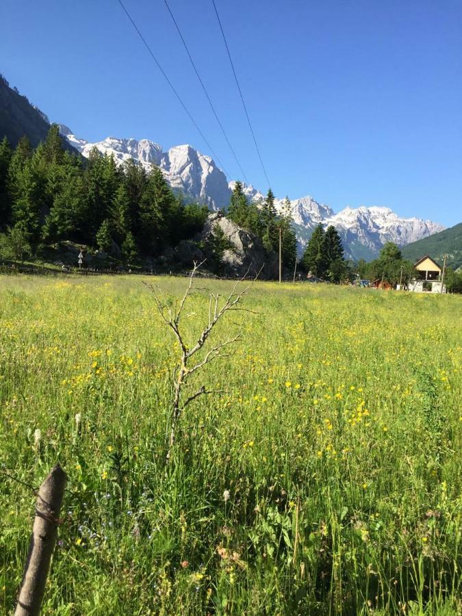 Guesthouse Demushi Valbone Zewnętrze zdjęcie
